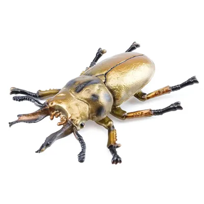 Produktbild von Toymany ML00430 Goldener Hirschkäfer 8,4 cm Reptilienreich
