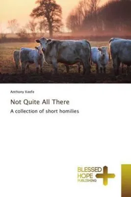 Produktbild von Not Quite All There