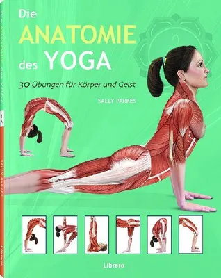 Produktbild von Die Anatomie des Yoga