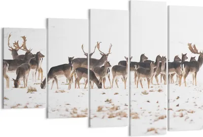 Produktbild von Bild auf Leinwand - Leinwandbild - Hirsch Winter Tierwelt Landschaft - 150x100cm - Wand Bild - Wanddeko - Leinwanddruck - Bilder - Kunstdruck - Leinwand bilder - Wandkunst - EG150x100-3144