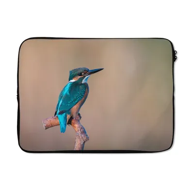 Produktbild von MuchoWow® Laptop Hülle 14 ZollEisvogel - Porträt - Zweig Laptoptasche - Laptoptasche - Stoßsicher - Schutzhaube