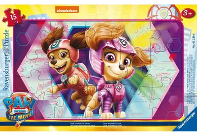 Produktbild von Ravensburger Team Awesome im Einsatz