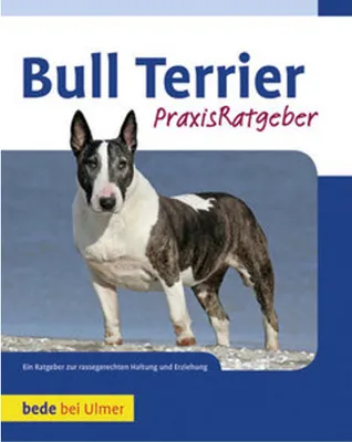 Obrázok produktu pre Bull Terrier