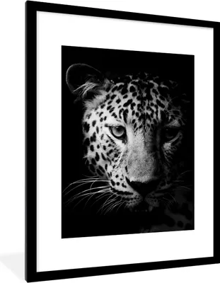 Produktbild von MuchoWow® Gerahmtes Poster Panther - Wildtiere - Schwarz und weiß - Tiere 60x80 cm - Poster mit Schwarzem Bilderrahmen Wandposter Rahmen Foto Bilder - Wohnzimmer - Dekorationen - Prämie