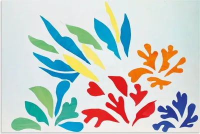 Produktbild von ARTland Wandbild Alu für Innen & Outdoor Acanthes Nr.30. Größe: 30x20 cm