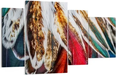 Produktbild von Bild auf Leinwand - Leinwandbild - Federn Federn Vogel - 120x70cm - Wand Bild - Wanddeko - Leinwanddruck - Bilder - Kunstdruck - Wanddekoration - Leinwand bilder - Wandkunst - DL120x70-3743