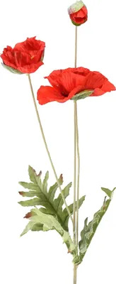 Produktbild von Mohnblume Deko Kunstblume Rot 3 Blüten L70cm