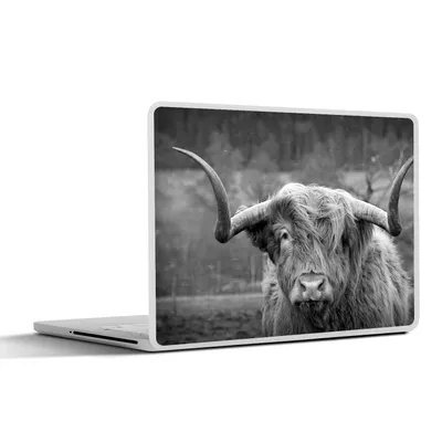 Produktbild von MuchoWow® Laptop Aufkleber Sticker Cover Schottischer Highlander - Kuhkopf - Landschaft - Natur - Kuh 36.5x27.5 cm - Laptop-Sticker