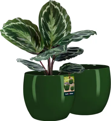 Produktbild von KOTARBAU® Sada 2 kvetináčov keramických okrúhlych ⌀ 26 cm Výška: 26 cm Zelený kvetináč keramický kvetináč na izbové rastliny kvetináč moderné malé kvetináče kvetináč keramický kvetináč na orchideu keramický kvetináč