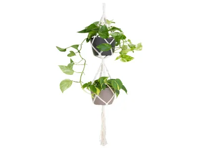 Obrázek produktu pro Artevasi Závěs na květináč MACRAMÉ, dvojitý, 120 cm, Macrame, bílá