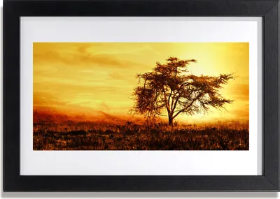 Produktbild von Bild 30x20 MDF-Rahmen Wandkunst Baum Natur