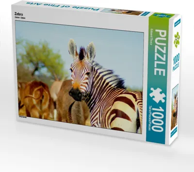 Produktbild von Calvendo Zebra 1000 Teile Puzzle quer 640x480mm, Tkocz Eduard; 7400855