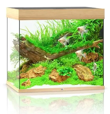 Productafbeelding van Juwel Lido 200 LED | 200L | 71 x 51 x 65CM Lichthout
