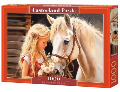 Zdjęcie produktu dla Castorland C-105205-2, 1000 szt., Krajobraz, 9 lat(a)