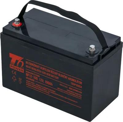 Immagine prodotto di Batteria T6 Power NP12-100, 12V, 100Ah