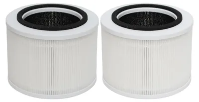 Ersatzfilter für Vibrix PureFlow30, 2er-Pack H13 HEPA
