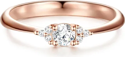 Produktbild von Trilani Ring Sterling Silber Zirkonia 50030005 61