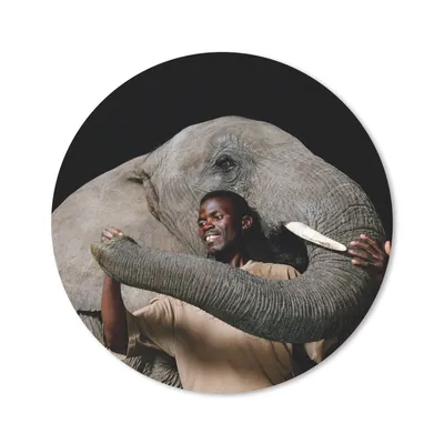 Produktbild von MuchoWow® Mauspad Mousepad Elefant - Männlich - Tiere - Schwarz 20x20 cm - Mousepads - Maus Mat - Pad - Mausunterlage - Schreibtischmatte
