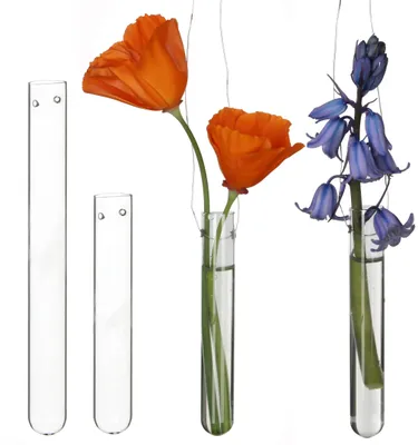 12 Reagenzgläser aus Glas, Ø1,5 cm, Höhe 10 cm, mit Aufhängelöchern