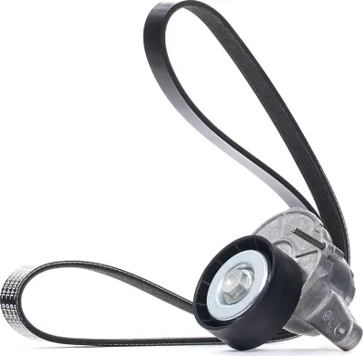 Produktbild von DAYCO KPV288 Keilrippenriemensatz für VW Golf VII Schrägheck (5G1, BQ1, BE1, BE2)