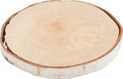 Produktbild von Birkenscheibe "Natur" Ø 17-22 cm