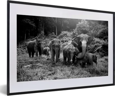Produktbild von MuchoWow® Gerahmtes Poster Elefanten aus dem Wald - schwarz und weiß 60x40 cm - Poster mit Schwarzem Bilderrahmen Wandposter Rahmen Foto Bilder - Schlafzimmer - Plakat in Rahmen - Drucken