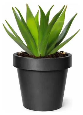Produktbild von Mega Collections Pflanzentopf/Blumentopf - Kunststoff - schwarz - D25 cm