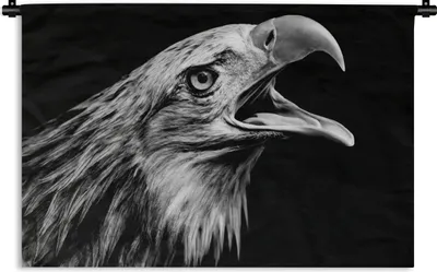 Produktbild von MuchoWow® Wandteppich Wandbehang Adler - Porträt - Raubvögel - Schwarz - Weiß - Vogel 120x80 cm Tapisserie Dekoration Wandtuch - Wanddekorationen - Wandtücher