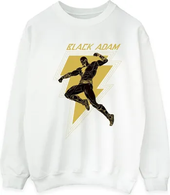 Produktbild von DC Comics - Sweatshirt für Herren BI11174 (XL) (Weiß)