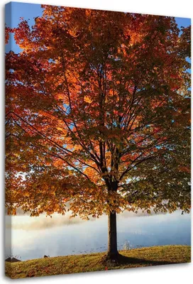 Image de Tableau sur toile Arbre d'automne 80 x 120 cm Feeby orange Tableau mural prêt à accrocher