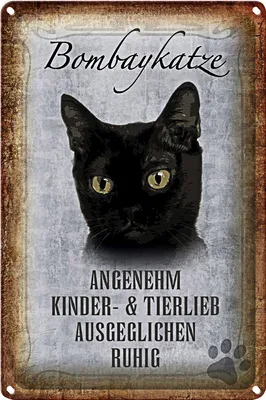 Produktbild von Blechschild Spruch 20x30cm Bombaykatze Katze