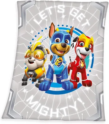 Produktbild von Paw Patrol Fleece-Decke, 130 x 160 cm, Grau