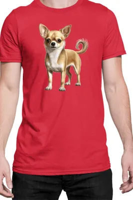 Produktbild von Herren T-Shirt Dogs Breeds Chihuahua Dog Breed 005, Man M / Rot