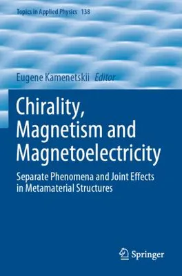 Produktbild von Chirality, Magnetism and Magnetoelectricity