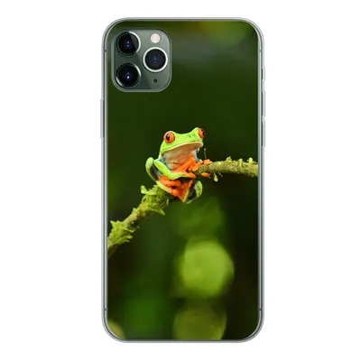 Produktbild von MuchoWow® Handyhülle Schutzhülle Hülle für iPhone 11 Pro Max Frosch - Äste - Grün Silikon Softcase Handy Hülle - Schutz