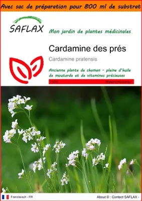 Image de SAFLAX Garden in the bag - Cardamine des prés - 100 graines - Cardamine