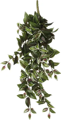 Produktbild von Mica Decorations Tradescantia hängende Kunstpflanze - L15 x B20 x H54 cm - Grün