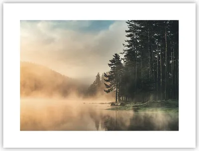 Produktbild von Poster - Poster ohne Rahmen - Nebel See Wald - 40x30 cm - Wand Bild - Wanddeko - Wandbilder - Kunstposter - Wandposter - Bilder - Kunstdruck - Wanddekoration - Wandbild - P2XAA40x30-4440