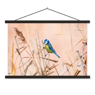 Produktbild von MuchoWow® Textilposter Vogel - Blaumeise - Schilf 120x80 cm mit schwarzem Rahmen - Wanddeko