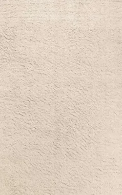 Produktbild von Teppich Kurzflor Wohnzimmer Schlafzimmer Flur Beige Unifarben Einfarbig