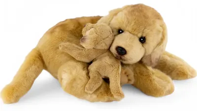 Immagine prodotto di Carl Dick Labrador con bambino di circa 30 cm peluche, peluche, peluche 3618