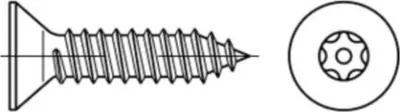 Produktbild von Reyher  Sicherh.schr.(D7982) 88115, 4,2x16 PIN-ISR T20 A 2 (100 Stück)