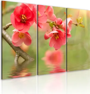 Produktbild von Modernes Wandbild 030210- 43 (120x80) - 3 Teilig Bilder Fotografie auf Vlies Leinwand Foto Bild Dekoration Wand Bilder Kunstdruck Blumen