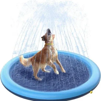 Produktbild von Famanu Hundepool faltbar und tragbar - 170 cm - inklusive Tragetasche