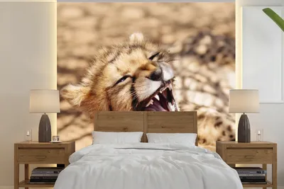 Produktbild von MuchoWow® Fototapete für Wohnzimmer oder Schlafzimmer Wandtapete Vinyl Motivtapete Gepard - Tier - Nahaufnahme - 350x350 cm - Schlafzimmertapete