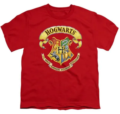 Produktbild von Harry Potter - "Rendered" T-Shirt für Kinder TV36842 (140-146) (Rot)