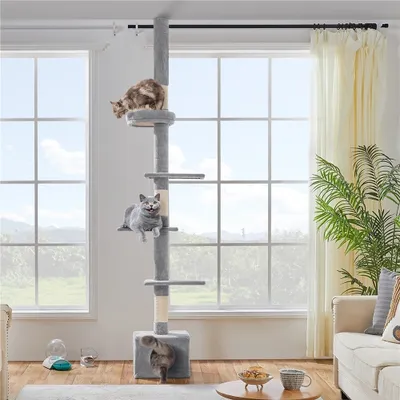 Three cats are interacting with a tall, multi-level cat tree in a brightly lit room with large windows.