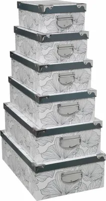 Immagine prodotto di 5 Five Simply Smart Aufbewahrungsboxen-Set Delicat 6-tlg., mit Floralmuster, Pappe, Edelstahl, 181201
