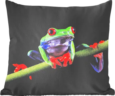 Produktbild von MuchoWow® Zierkissen Sofakissen Wohnzimmer Dekokissen 60x60 cm Frosch - Orange - Grün - Sitzfläche - Foto Polster