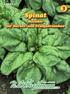 Produktbild von Spinat Matador | Spinatsamen von N.L. Chrestensen